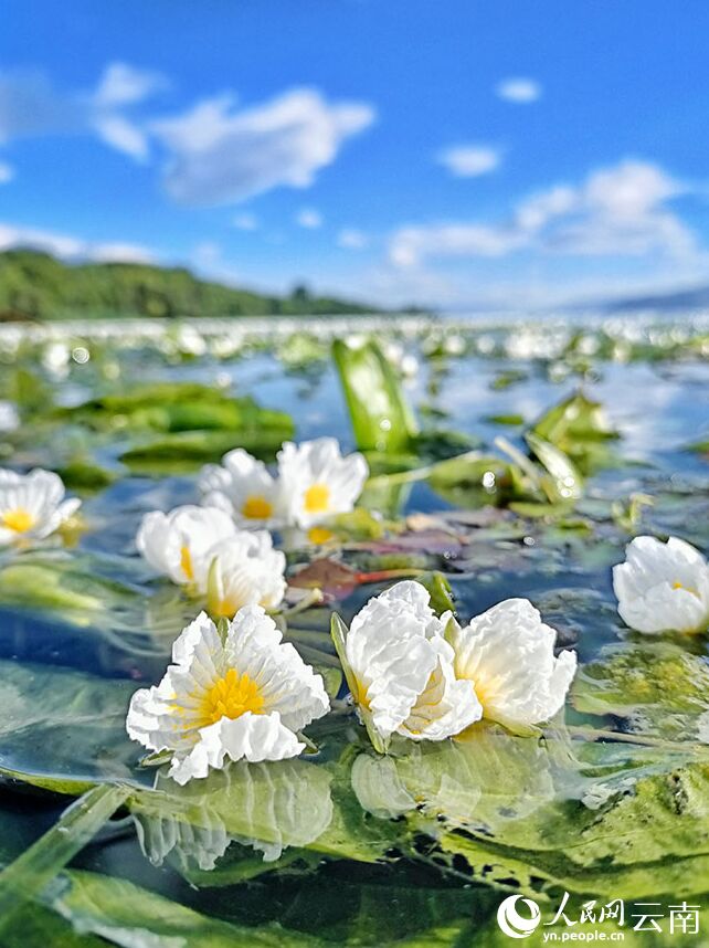 ???? ???? ???? ?????? ?? ???? ????????