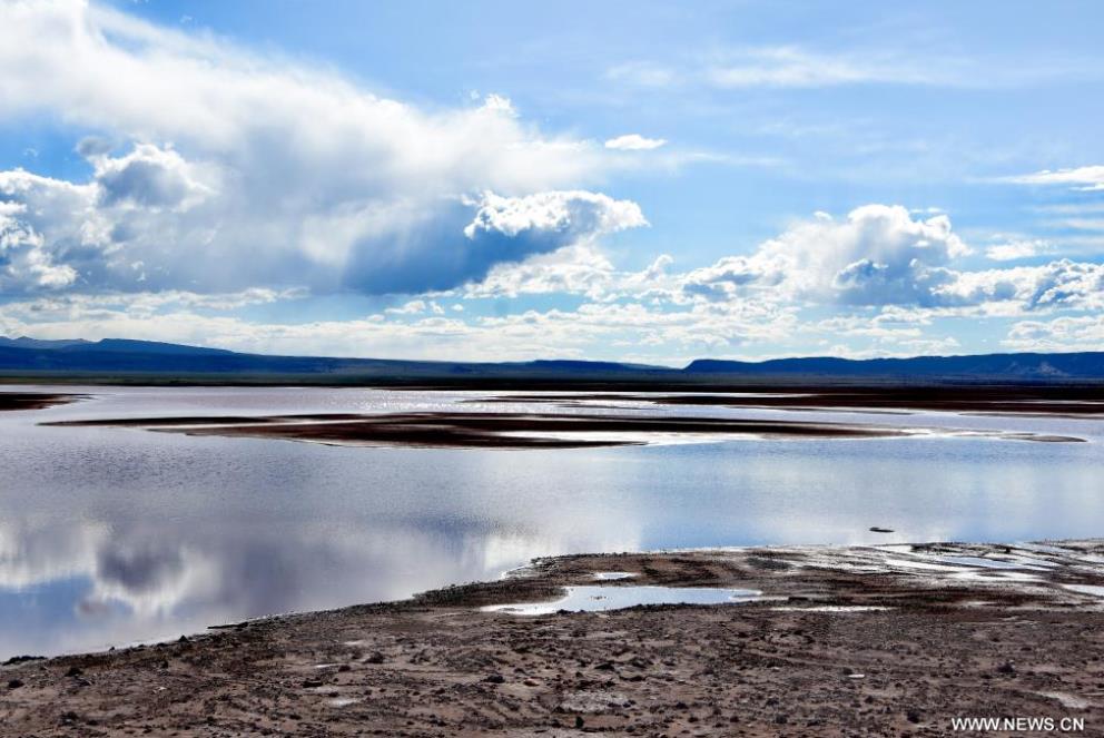 ???? ?????? ?? ????? ????? ?????? ????? ???????