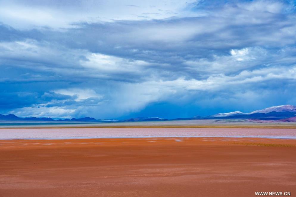 ???? ?????? ?? ????? ????? ?????? ????? ???????