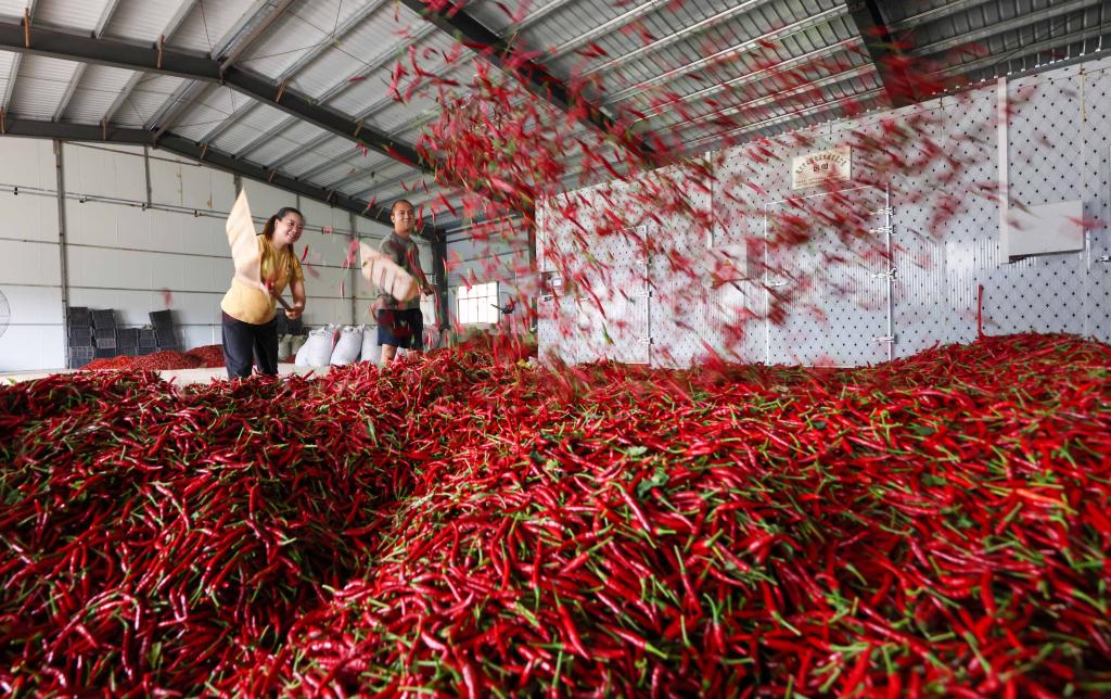 ??????: ???? ?????? ??????? ?? ????? ?????? ?? ?????