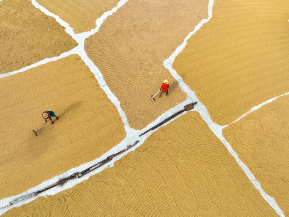 ??????: ???? ?????? ??????? ?? ????? ?????? ?? ?????