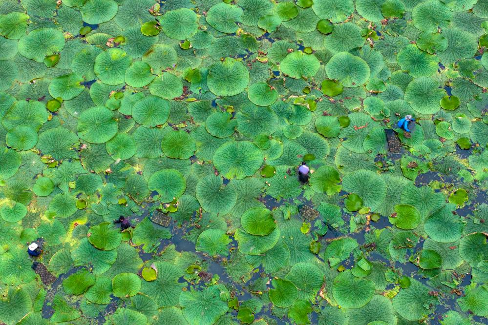 ??????: ???? ?????? ??????? ?? ????? ?????? ?? ?????