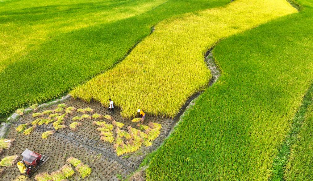 ??????: ???? ?????? ??????? ?? ????? ?????? ?? ?????