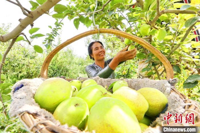 ?????? ??????? ?? ???? ????????? ?????? ????? ????????