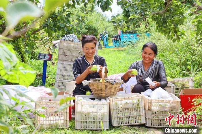 ?????? ??????? ?? ???? ????????? ?????? ????? ????????