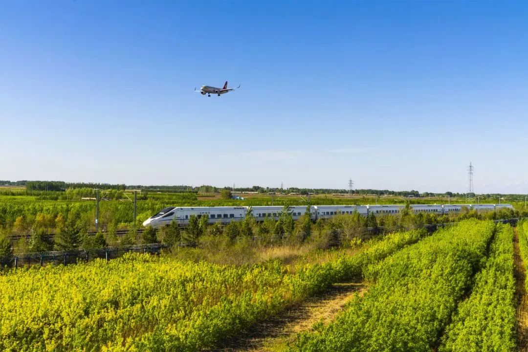 ?? ?????????? ???? ?????? ????????