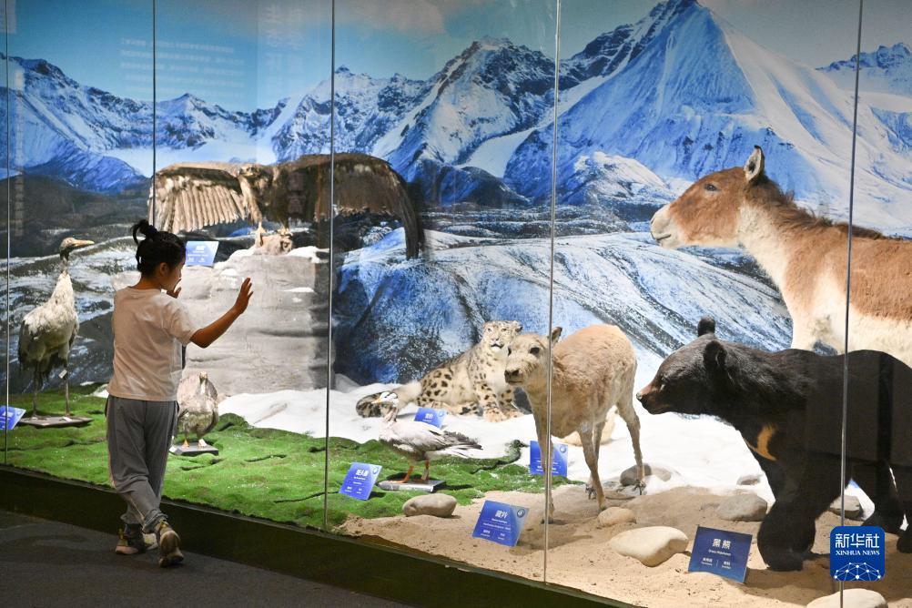 ????? ???? ?????? ?????? ???? ???? ?????