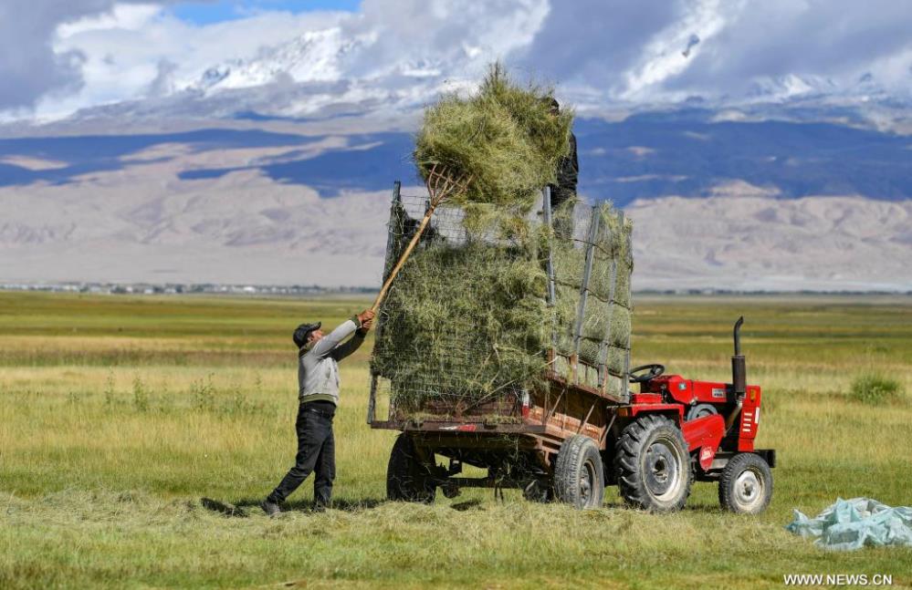 ???? ????? ?????? ?? ?????? ?????????? ????? ????? ?????? ???????