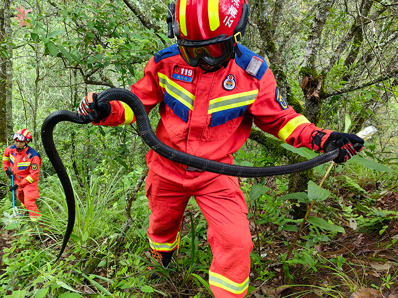 ?? ???? ???? ?????? ???? ????? ???? ??? 32 ????? ???? ?? ????