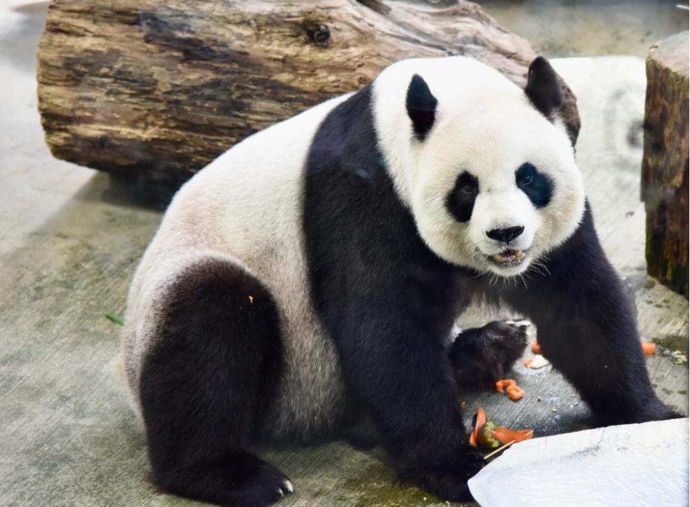 ??????: ???????? ???? ????? ??????? ???????? ???? ????