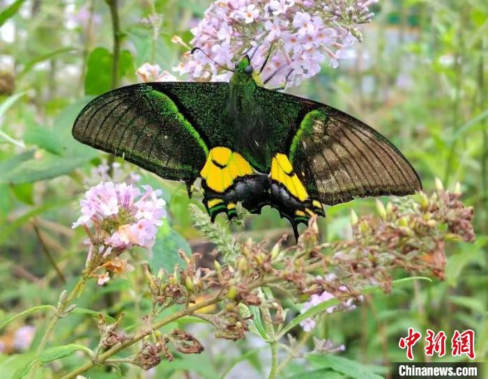 ?????? ??? ????? ??? ???? ????