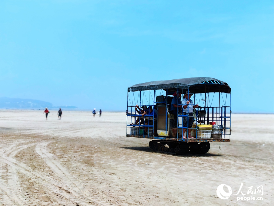 ???????? ?????: ????? ???? ???? ?????? ???????