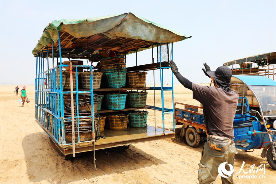 ???????? ?????: ????? ???? ???? ?????? ???????