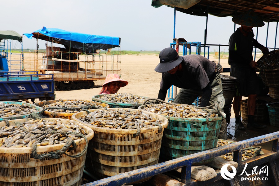 ???????? ?????: ????? ???? ???? ?????? ???????