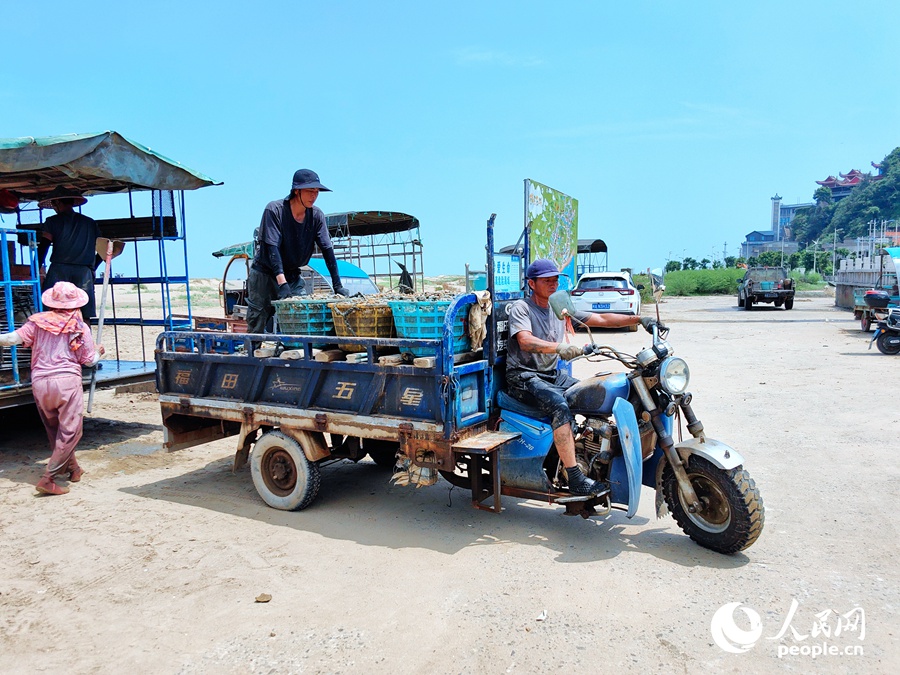 ???????? ?????: ????? ???? ???? ?????? ???????