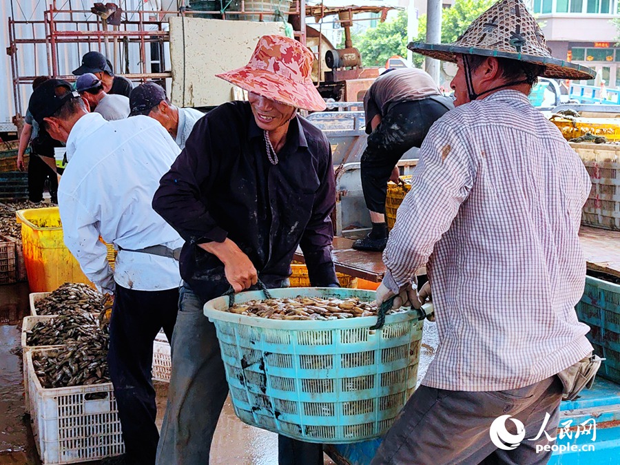 ???????? ?????: ????? ???? ???? ?????? ???????