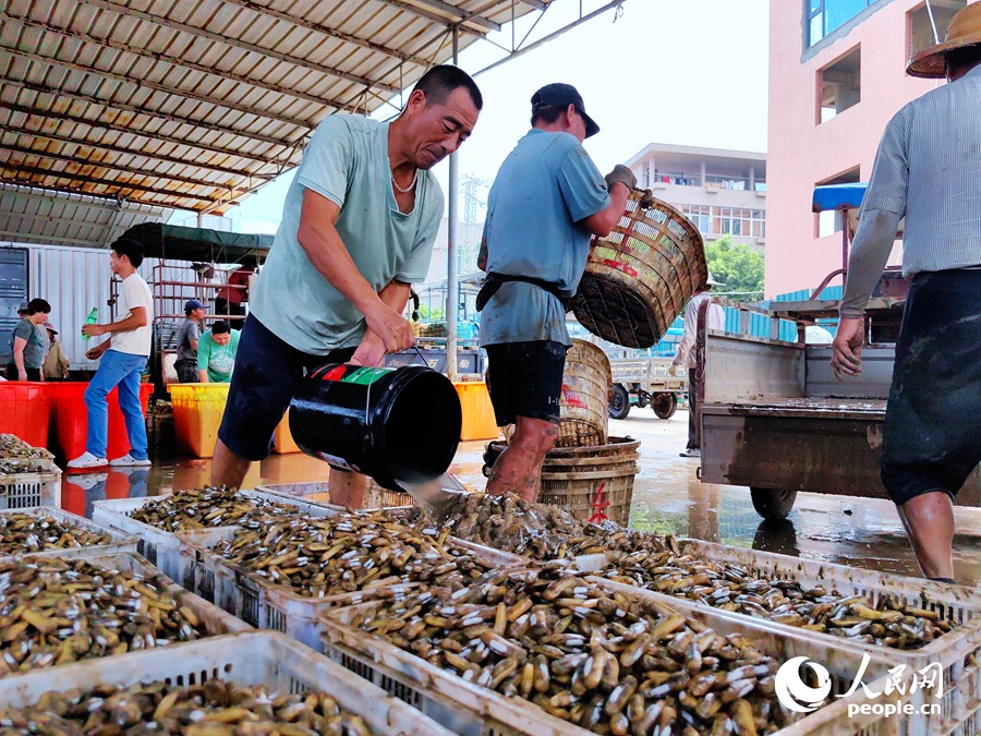 ???????? ?????: ????? ???? ???? ?????? ???????