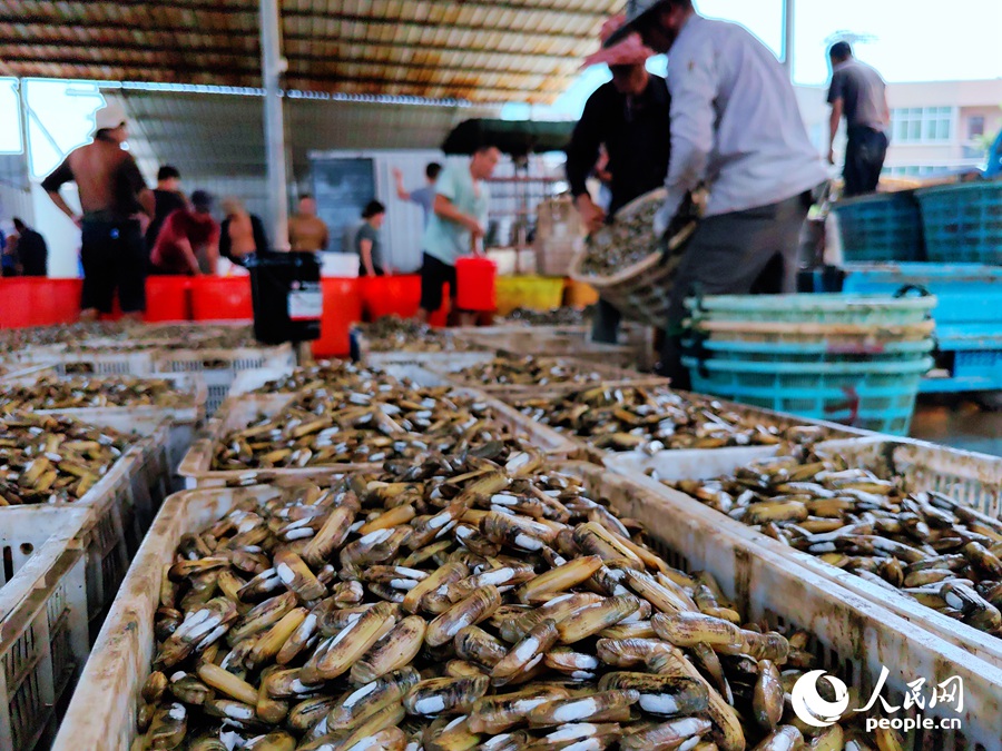 ???????? ?????: ????? ???? ???? ?????? ???????