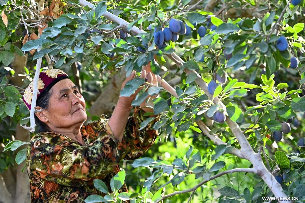 ??? ??????? ??????? ?? ???????? ???? ???? ?????