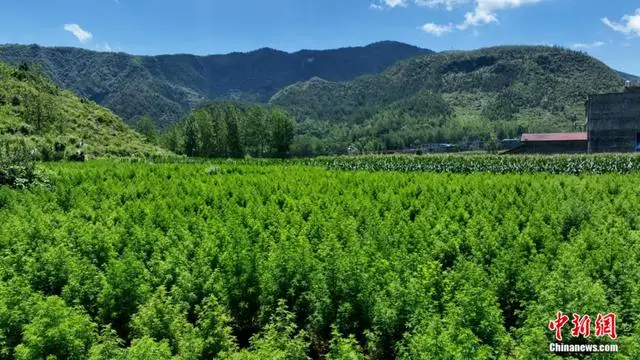 ???? ?? ??? ????? ???????? ?? ??????? ???? ?? ??? ???????? ??????? ??????? ?? ?????