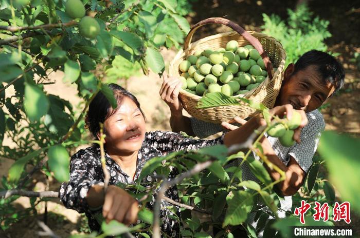 ?????????? ?????: ???? ??? ???? ????? ?? ?????