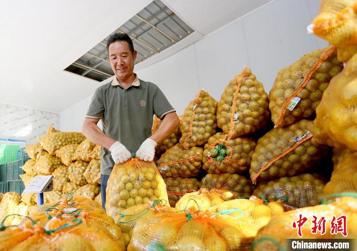 ?????????? ?????: ???? ??? ???? ????? ?? ?????