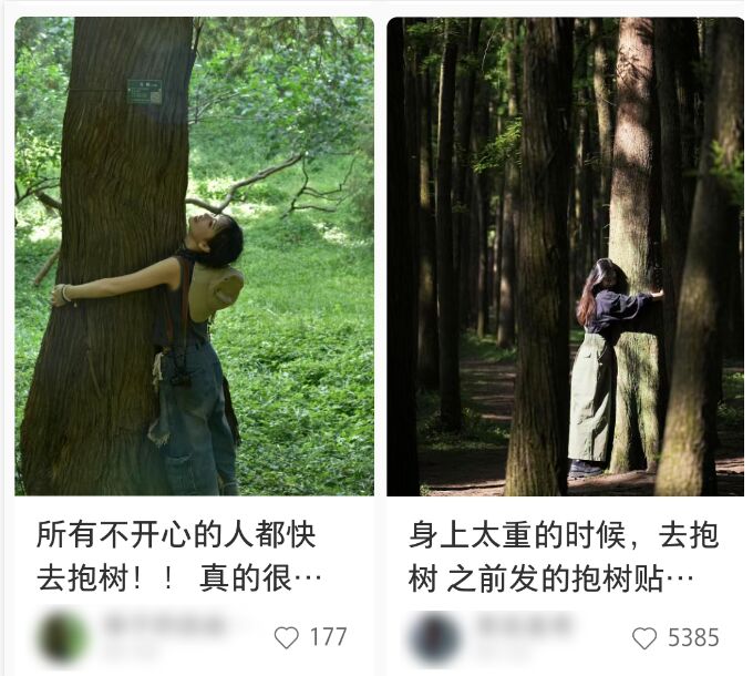 ?????? ?????? .. ????? ???? ??????? ????? ?????? ??? ????? ??? ?????? ?? ?????