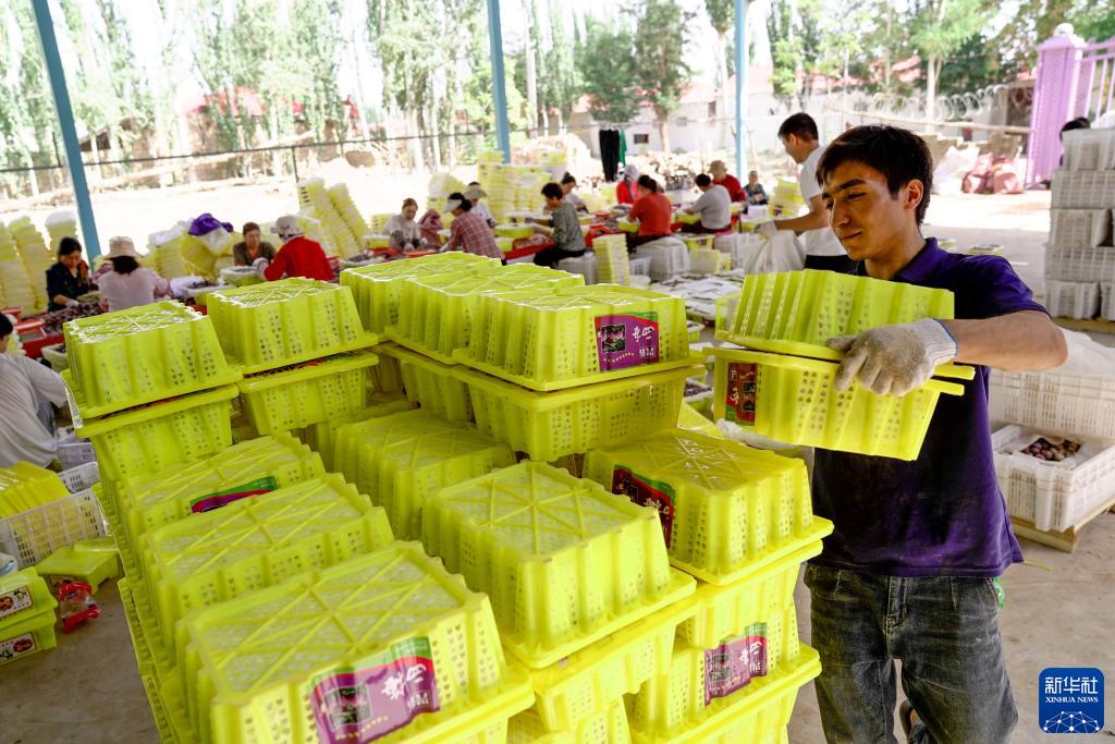 ?????? ????? ??? ?? 60 % ?? ????? ????? ?? ???????