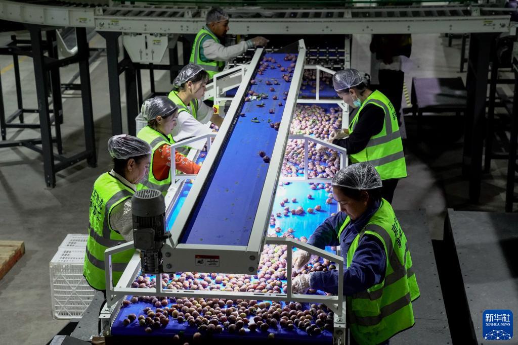 ?????? ????? ??? ?? 60 % ?? ????? ????? ?? ???????