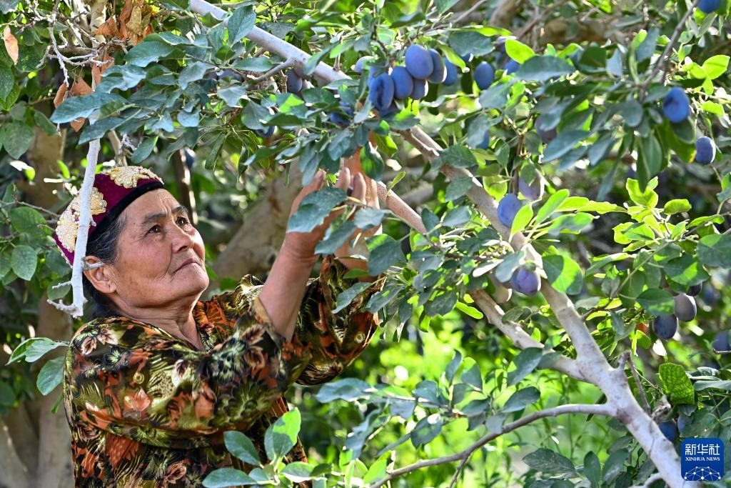 ?????? ????? ??? ?? 60 % ?? ????? ????? ?? ???????