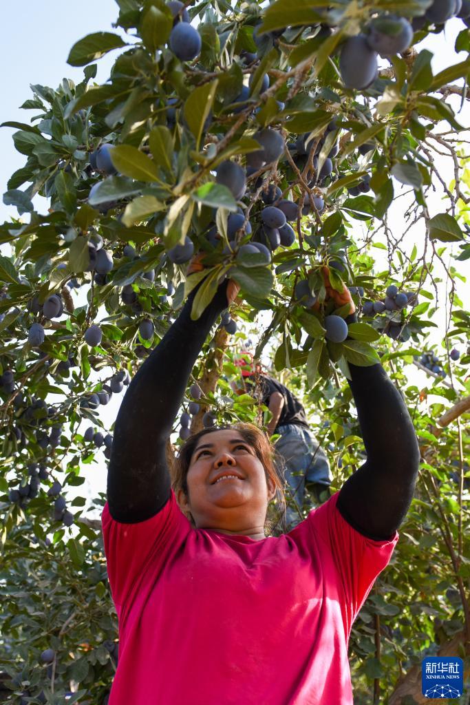 ?????? ????? ??? ?? 60 % ?? ????? ????? ?? ???????