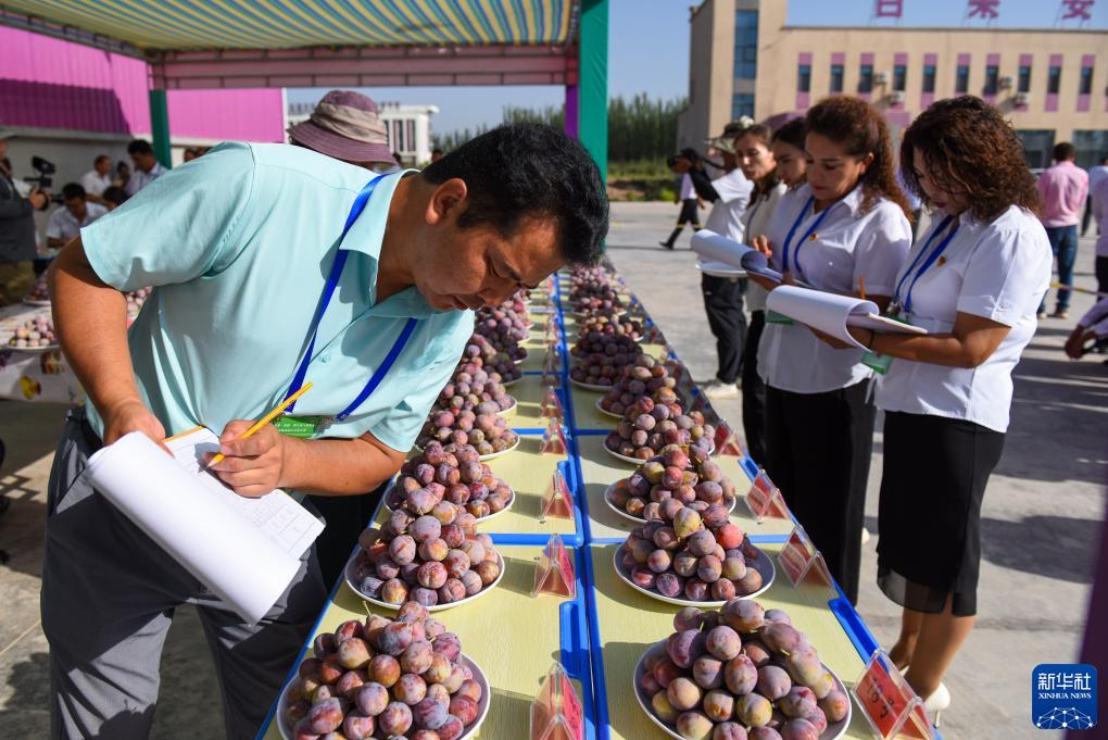 ?????? ????? ??? ?? 60 % ?? ????? ????? ?? ???????