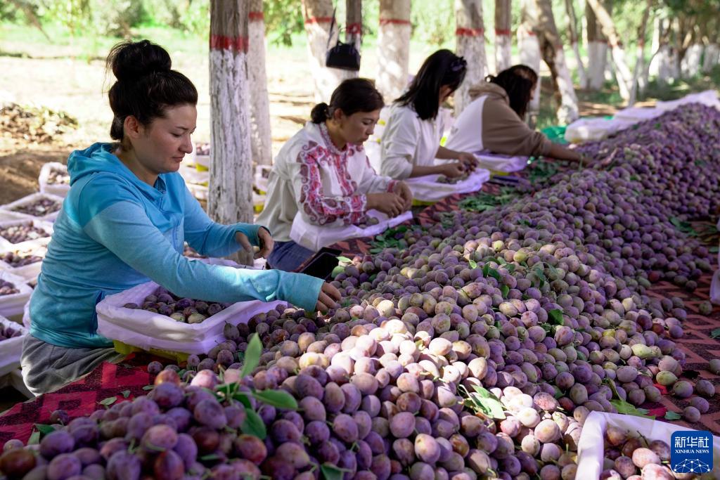 ?????? ????? ??? ?? 60 % ?? ????? ????? ?? ???????