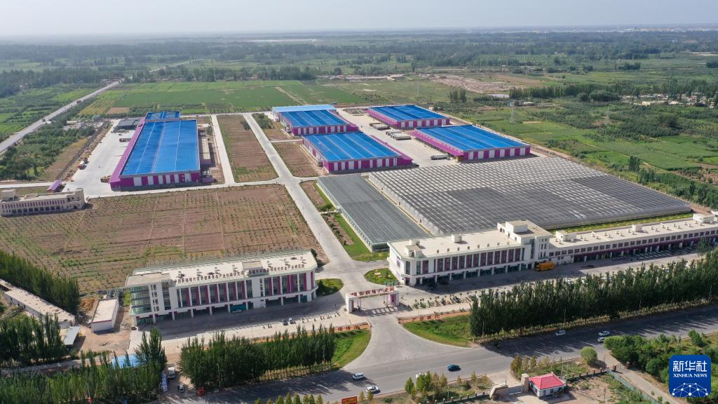 ?????? ????? ??? ?? 60 % ?? ????? ????? ?? ???????