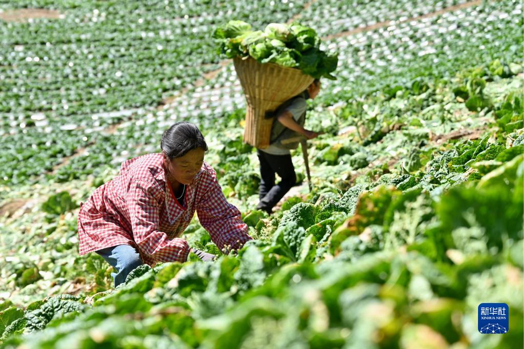 ????? ????: ???? ???? ?? ????? ?????? ?????? ????????