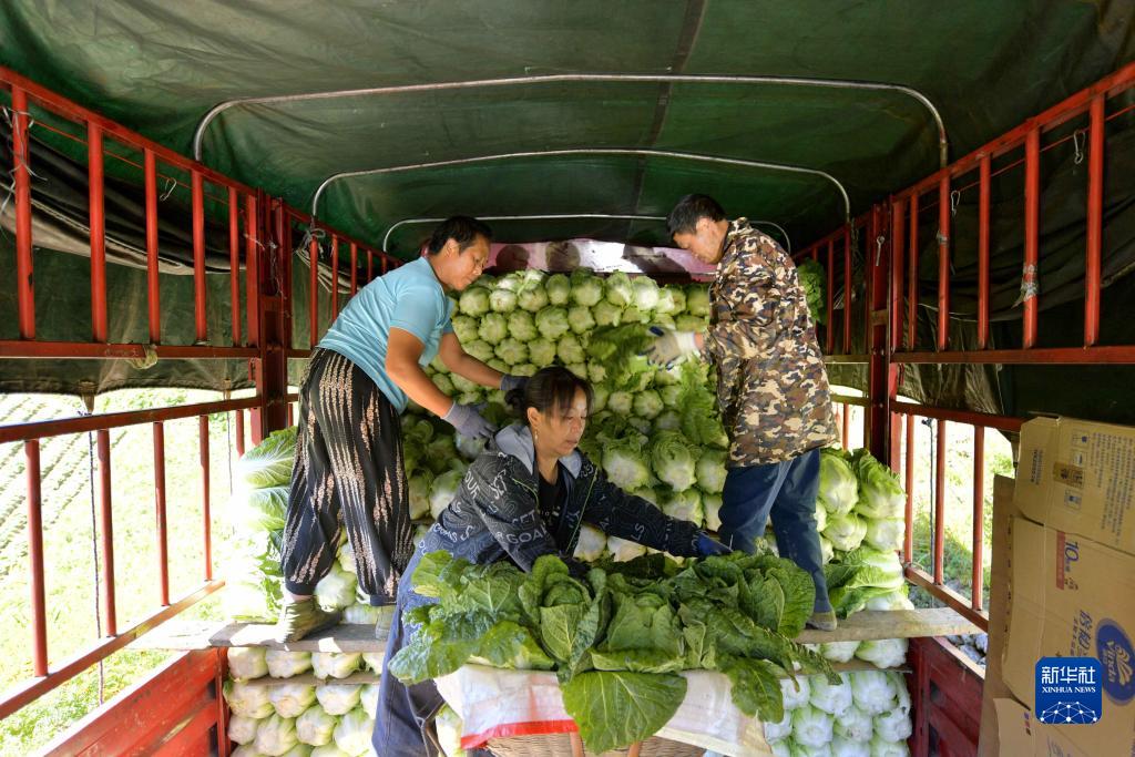 ????? ????: ???? ???? ?? ????? ?????? ?????? ????????