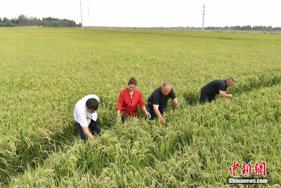 ????? ?? ?????: ???? ??? ????? ??? ???? ???????