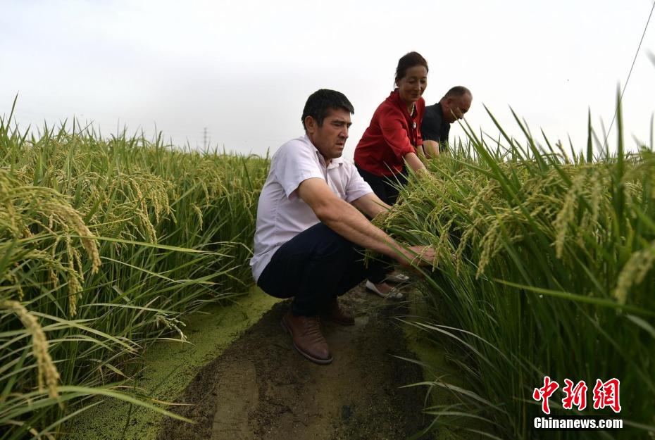 ????? ?? ?????: ???? ??? ????? ??? ???? ???????