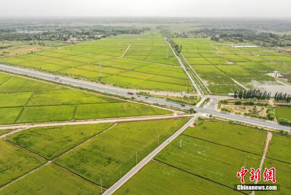 ????? ?? ?????: ???? ??? ????? ??? ???? ???????