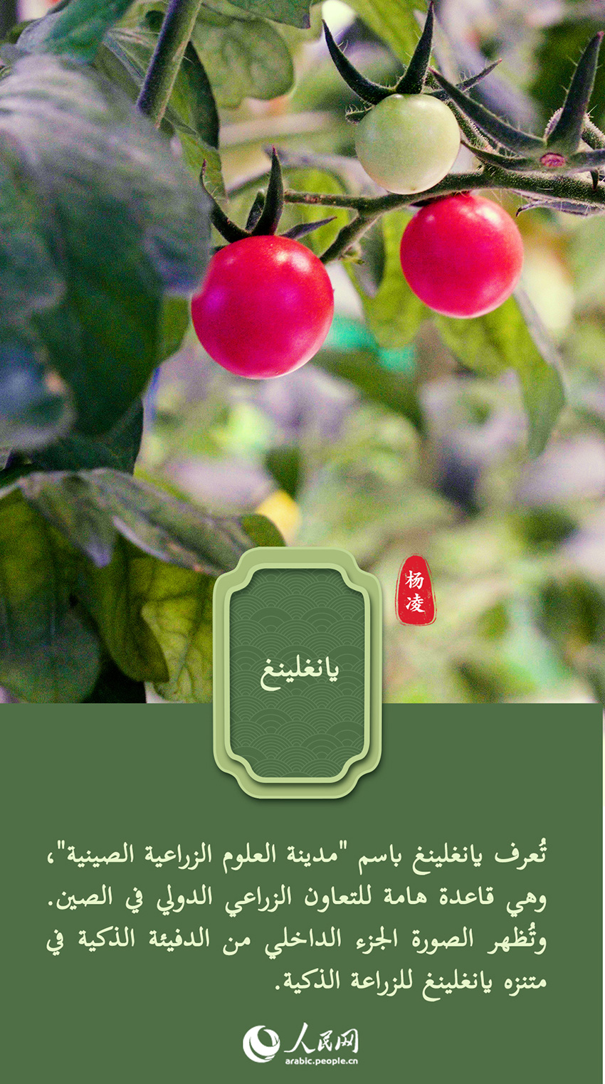 ???: ????? ????? ??? ???? ??????