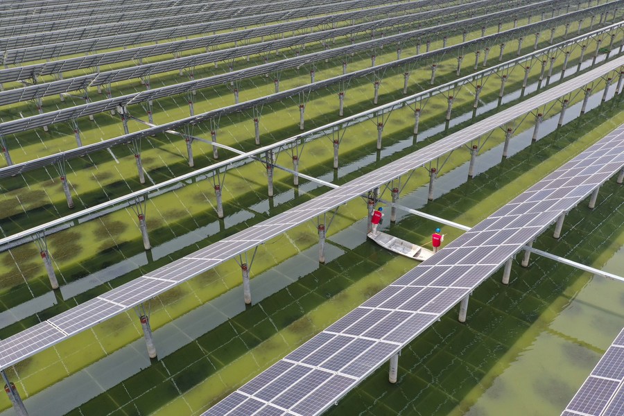 ?????? ??????? ?????? ???????? ?? ????? ???? ???? ?????