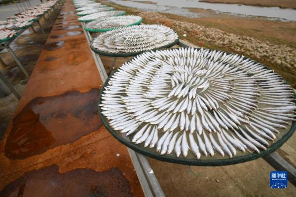 ?? ????? ??? ??????? .. ???? ??????? ?????? ??????? ??????? ??????? ?? ???????? ?????? 200 ????? ????