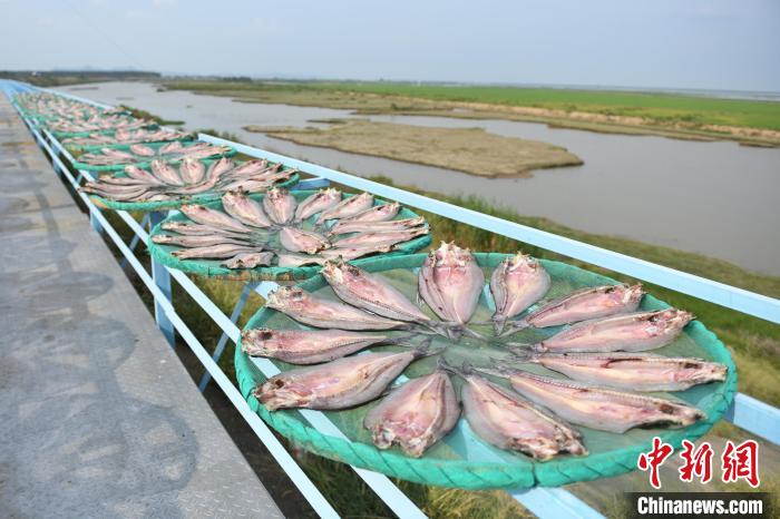 ?? ????? ??? ??????? .. ???? ??????? ?????? ??????? ??????? ??????? ?? ???????? ?????? 200 ????? ????