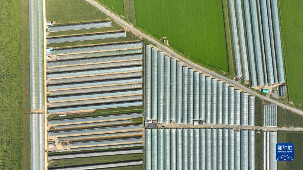 ????? ?????? ???? ??? ?????