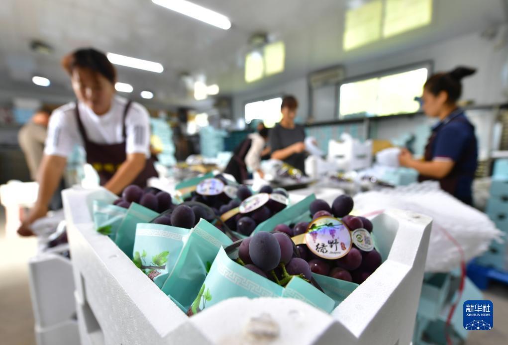 ????? ?????? ???? ??? ?????