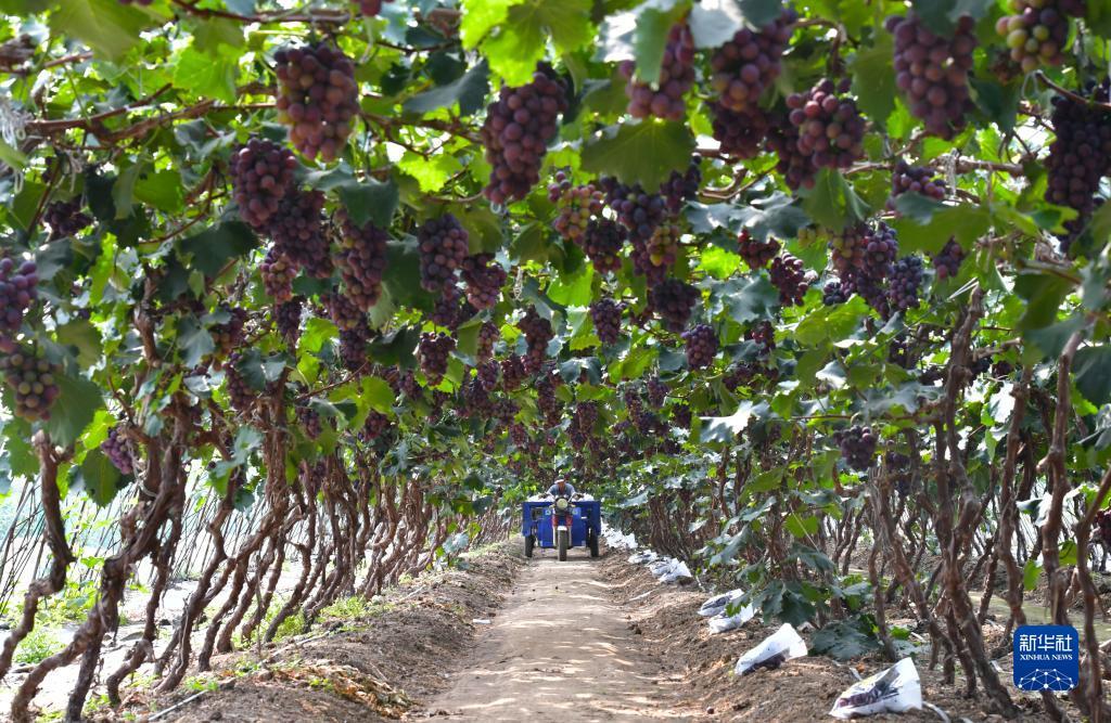 ????? ?????? ???? ??? ?????