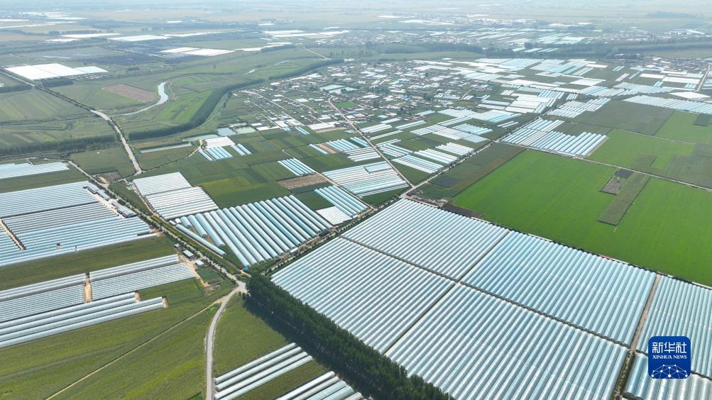 ????? ?????? ???? ??? ?????