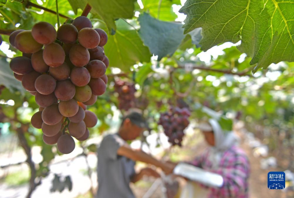 ????? ?????? ???? ??? ?????