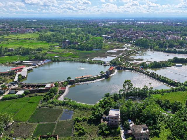 ??????? ??????????: ????? ??? 36 ?? 71 ?????? ????? ????? ?????????