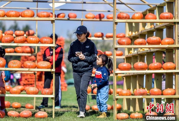 ????? ?? 30 ???... ?????? ????? ????????? ???? ???????